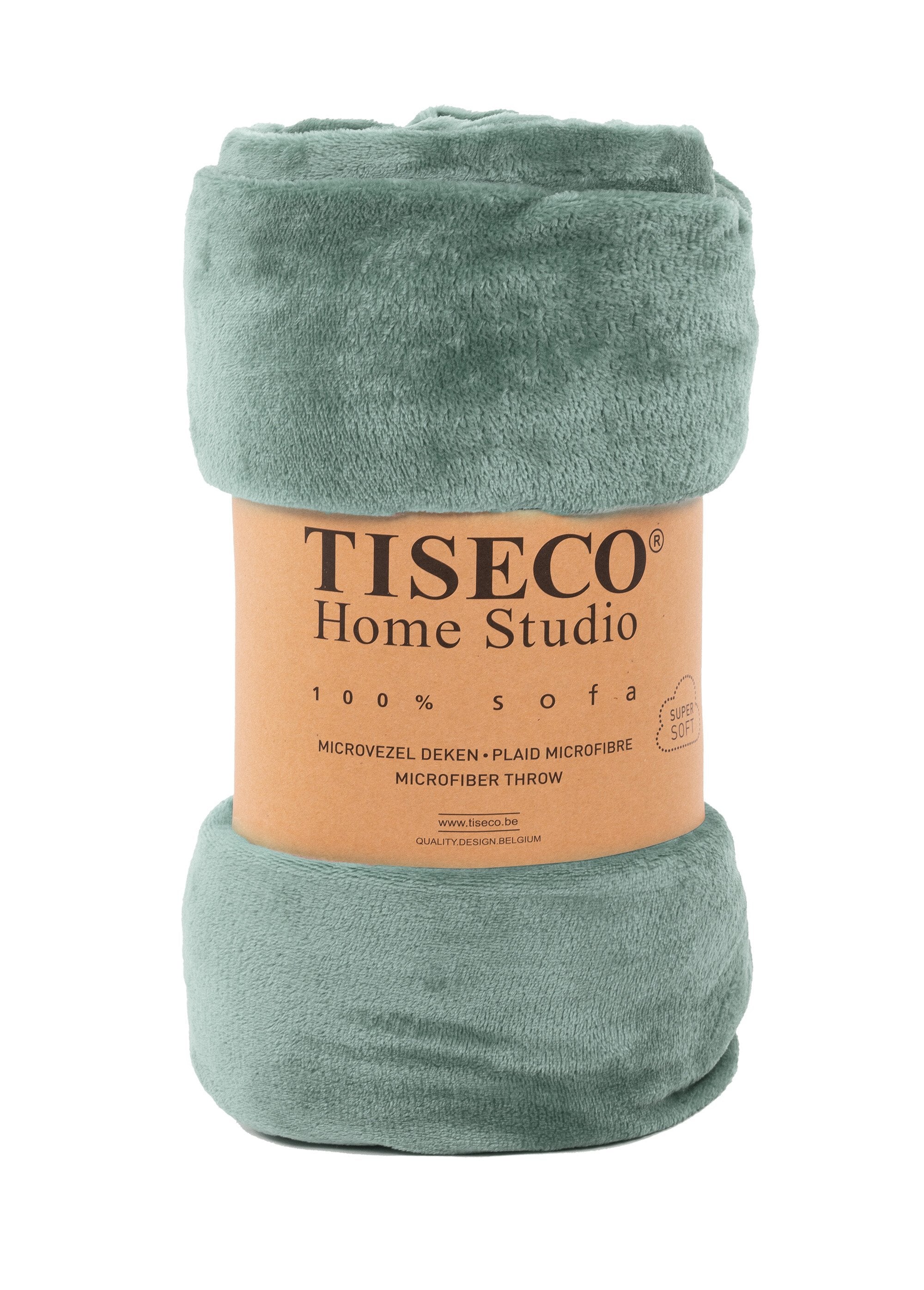 Large_plain_smooth_fleece_blanket,_2m_x_1.5m_Sage_green__DE1_slim