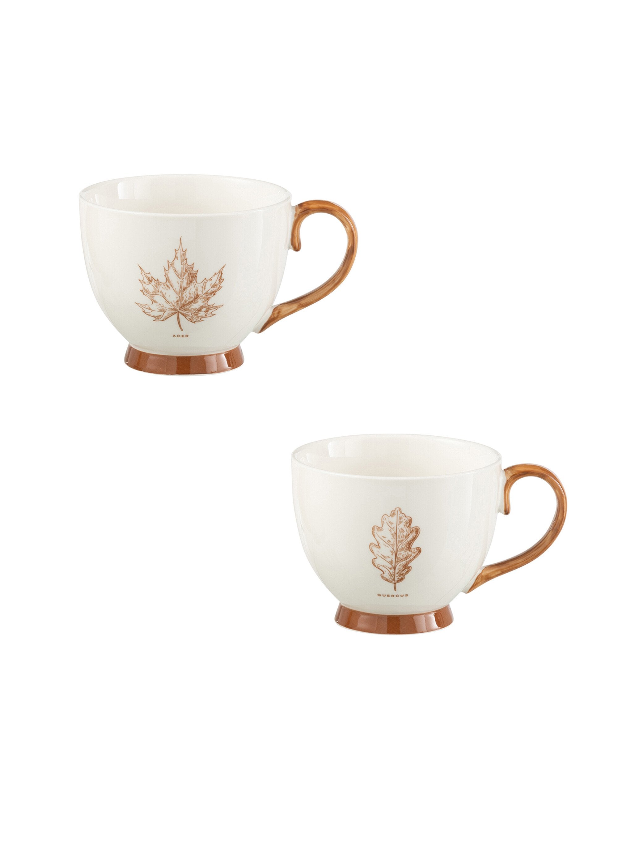 Set_de_2_tasses_à_anse_décor_feuille_Erable_et_chene_FA1_slim