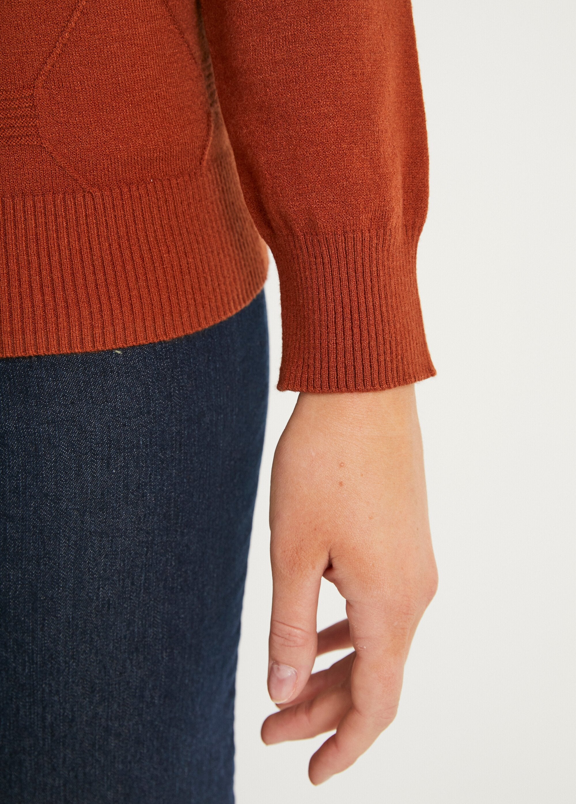 Soft,_plain_sweater_with_modal_blend_stand-up_collar_Hazelnut_DE3_slim