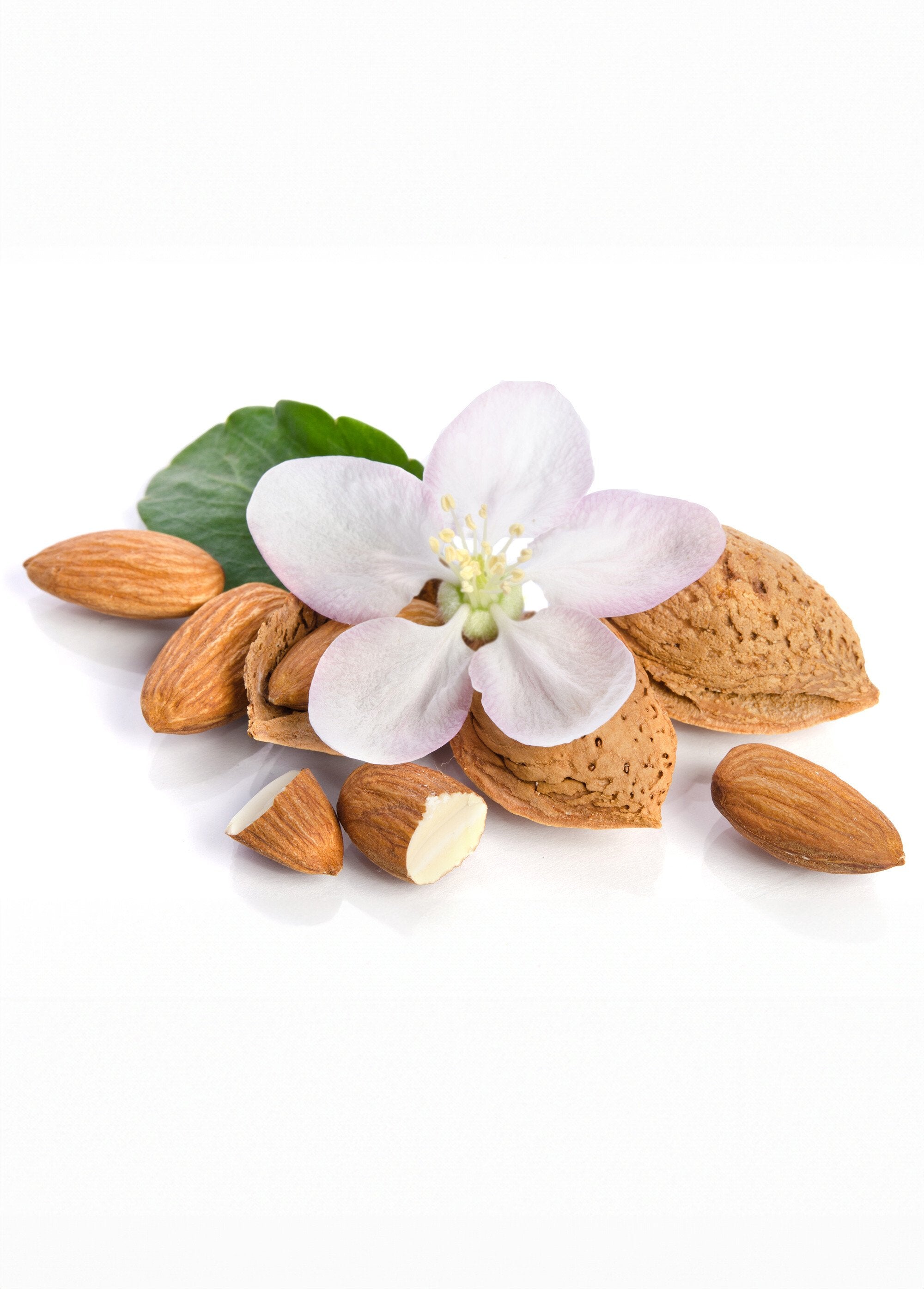 Sweet_Almond_Crackling_Candle_White_DE1_slim